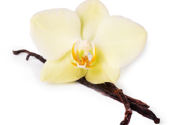 Rempah Paling Mahal di Dunia, Vanili Rempah Paling Mahal di Dunia, Vanili (Freepik)