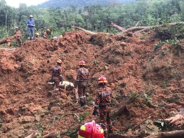 21 Orang Tewas akibat Longsor di Tempat Perkemahan Malaysia, termasuk 5 Anak dan 12 Perempuan