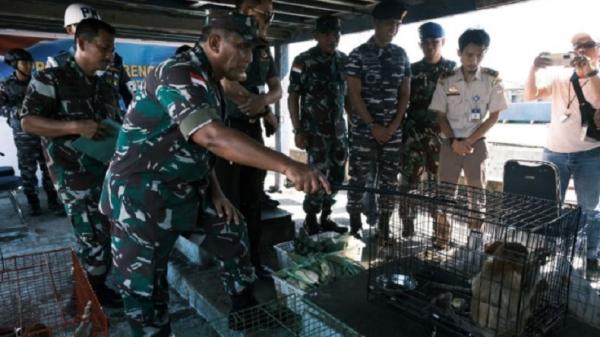 TNI AL Sergap Kapal Vietnam Bawa Satwa Liar di Perairan Pontianak, 11 WNA Diamankan