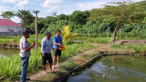 Anggota DPRD Palu dari Partai Perindo Marselinus memberdayakan masyarakat melalui program pembuatan kolam bioflok (Perindo)