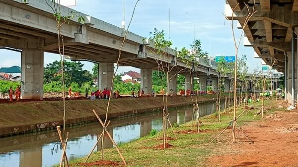 10.200 Pohon Ditanam di Kolong Tol Becakayu, Sulap Lahan Kosong Jadi Terbuka Hijau
