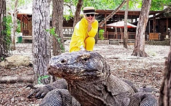 Potret artis di labuan bajo -syahrini Syahrini memamerkan potret dengan komodi di Labuan Bajo. (Foto: Instagram)