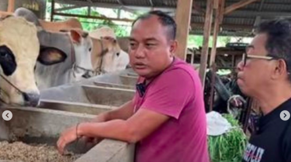 Artis lawas pile berani. (Foto: Instagram)