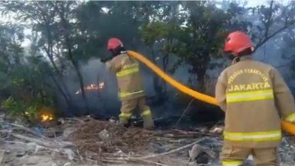 Kebakaran Lahan Kejutkan Warga Kepulauan Seribu, Diduga Berawal dari Bakar Sampah