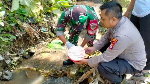 Sukabumi Geger, Jasad Bayi Diduga Hasil Aborsi Ditemukan di Saluran Air