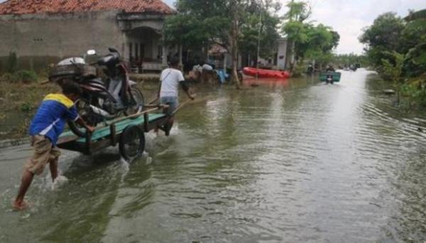 Sejumlah Wilayah Di Pantura Jateng Masih Terendam Banjir, Ketinggian ...