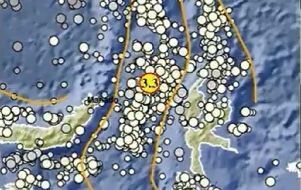 Gempa Bumi Magnitudo 3,3 Guncang Halmahera Barat