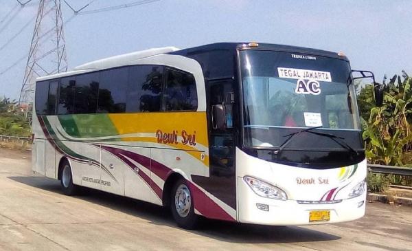 Daftar PO Bus Jurusan Jakarta-Tegal, Intip Harga Tiketnya