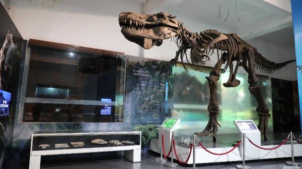 Replika fosil Tyranosaurus Rex di Museum Geologi Bandung. (FOTO: museum.geologi.esdm.go.id)