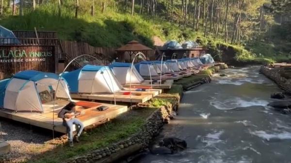 TALAGA PINEUS Talaga Pineus Riverside Camp menawarkan sensasi healing kemah di tepi sungai dalam hutan pinus Rahong. (FOTO: ISTIMEWA/INSTAGRAM/@talagapineuscamp)