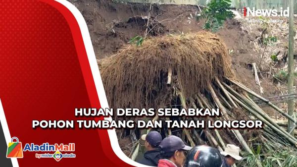 Hujan Deras Sebabkan Pohon Tumbang Dan Tanah Longsor Di Cisarua