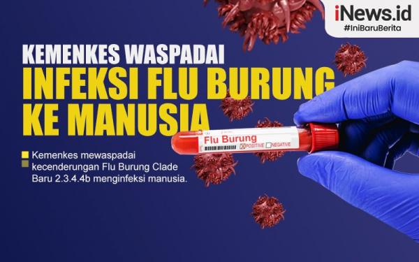 Kemenkes waspadai Flu Burung Clade