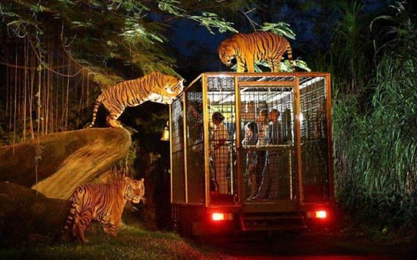 Night Safari di Bali Safari Marine Park di Gianyar. (foto: www.balisafarimarinepark.com)
