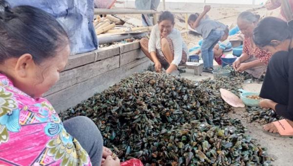 &nbsp;Ibu-ibu pengupas kerang hijau di Kelurahan Cilincing, Kecamatan Cilincing, Kota Jakarta Utara. (Foto MPI).