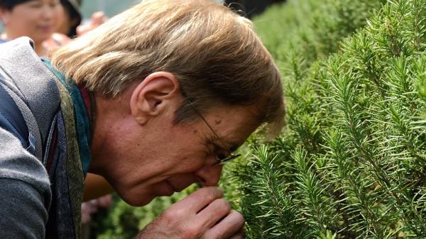 Rumah Atsiri Indonesia Karanganyar 3 Harga tiket masuk Rumah Atsiri, pengunjung saat mencium tanaman atsiri. Foto: Ist.