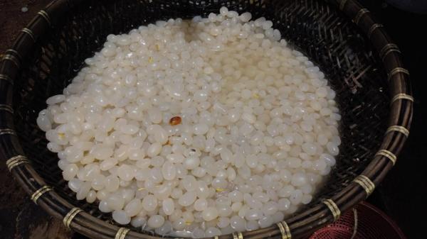 Kolang Kaling-1 Kolang kaling jadi bahan makanan yang selalu diminati di bulan Ramadhan (Ira Widyanti/MNC Portal)