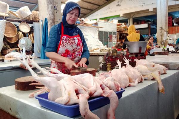 Harga Pangan Akhir Pekan 18 Mei: Daging Ayam-Gula Naik, Bawang-Cabai Turun