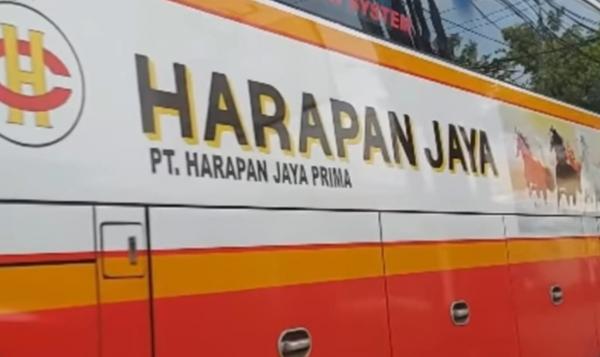 8 PO Bus dengan Penggemar Terbanyak di Sosial Media