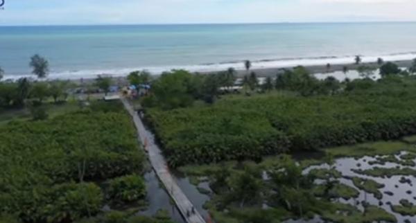 Desa Unik Green Talao Park di Sumbar, Wisatawan Wajib Cicipi Kepiting dari Hutan Mangrove