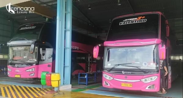bus po kencana