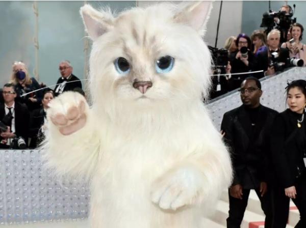  Artis Paling Nyeleneh di Met Gala 2023. (foto: Twitter)