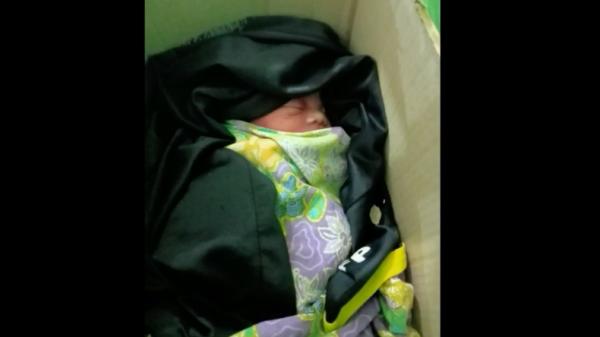 Bayi di kardus-1 Bayi perempuan ditemukan tergeletak di dalam kardus mi instan. Bayi terlantarkan di teras masjid wilayah Nunukan, Kaltara (Usman C/MNC Portal)