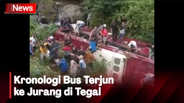 Bus Rombongan Wisata Terjun Ke Jurang Di Guci Tegal, Begini Kronologinnya