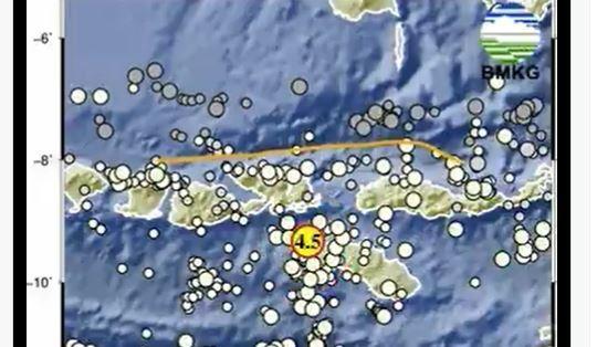 Gempa Terkini 13 Mei 2023 Guncang Tambolaka NTT, BMKG: Magnitudo 4,5