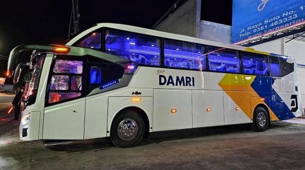 Zepplein GX Cruiser 5