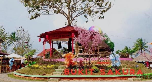 7 Spot Foto di Bandar Lampung yang Instagramable, Ada yang Unik Mirip di Jepang 