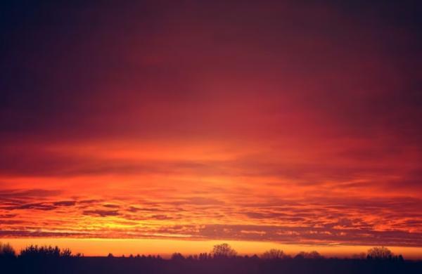 7 Contoh Puisi Tentang Alam, Singkat Tapi Bermakna 