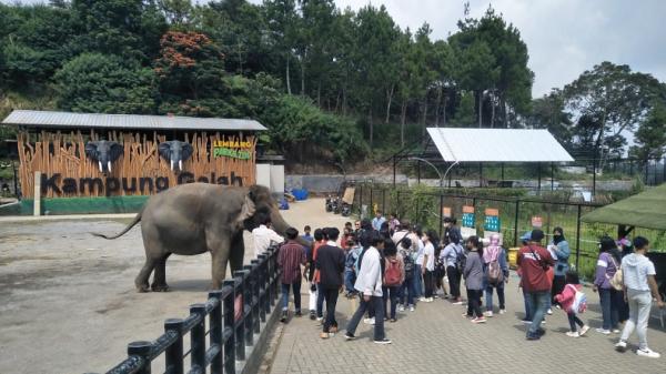 10  Wisata Cikole Bandung: Jelajahi Dunia Satwa Bersama Keluarga di Lembang Park and Zoo