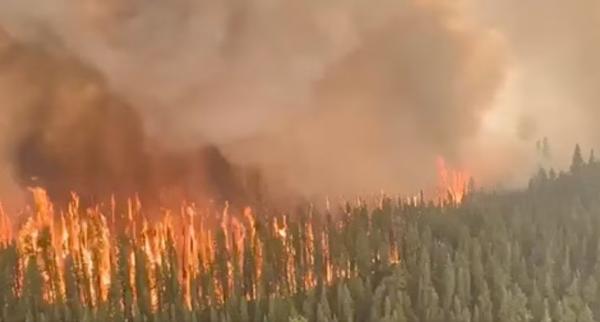 Kebakaran Hutan Di Kanada Makin Meluas Capai 4 7 Juta Hektare Sebagian