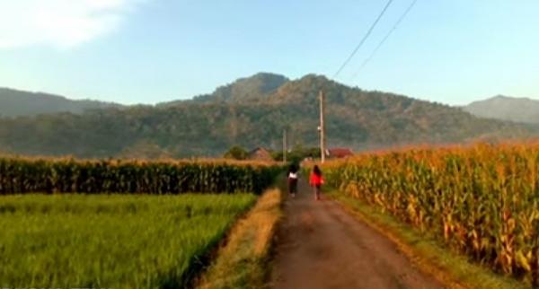 Viral, Kampung Unik di Banjarnegara Punya Pemandangan Desa Mirip di Eropa, seperti Ini Suasananya!