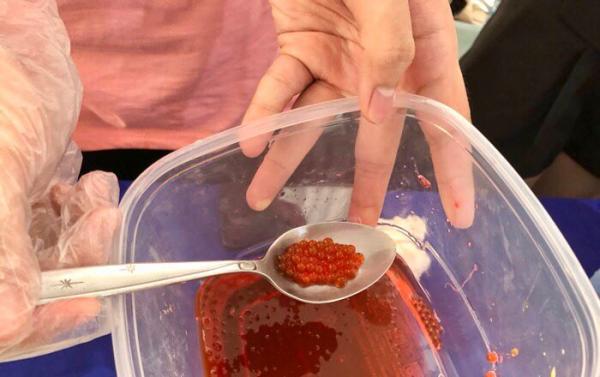 Boba dari rempah Indonesia