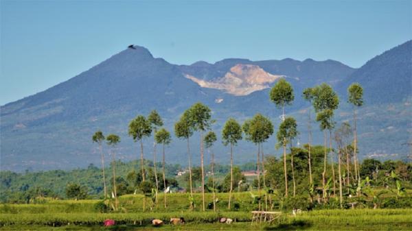 Gunung KAMOJANG Gunung Kamojang di Kabupaten Garut berbatasan dengan Bandung. (FOTO: ISTIMEWA)
