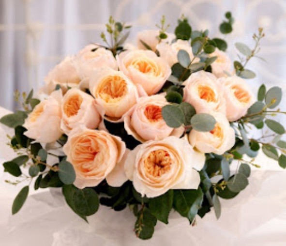 Juliet Rose Bunga Juliet Rose atau Mawar Juliet