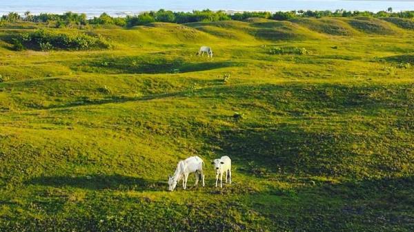 Bukit Teletubbies Sukabumi, Cocok untuk Nikmati Sunset Bersama Keluarga