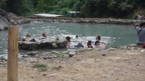 KAWAH RENGGANIS BANDUNG1 Wisatawan mancanegara berendam di pemandian air panas Kawah Rengganis, Rancabali, Kabupaten Bandung. (FOTO: iNews/ERICK FAHRIZAL)