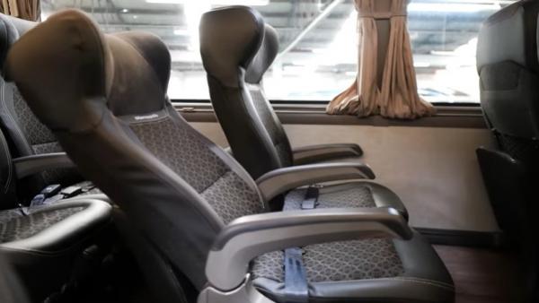 Bus Super Mewah Brasil 4