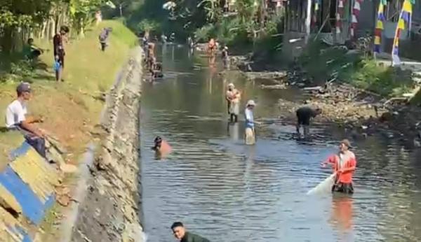 Berkah Musim Kemarau Ratusan Warga Banjarnegara Tangkap Ikan Di Sungai Irigasi