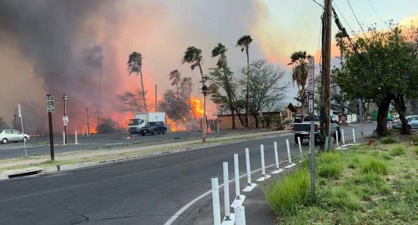 Kebakaran Hutan di Hawaii Terus Makan Korban, 36 Orang Tewas