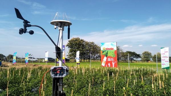 Mengintip Pusat Penelitian Pertanian Terbesar Kedua se-Asia Tenggara di Bayer JUARA, Klaten, Jateng (Foto: iNews/Nani Suherni)