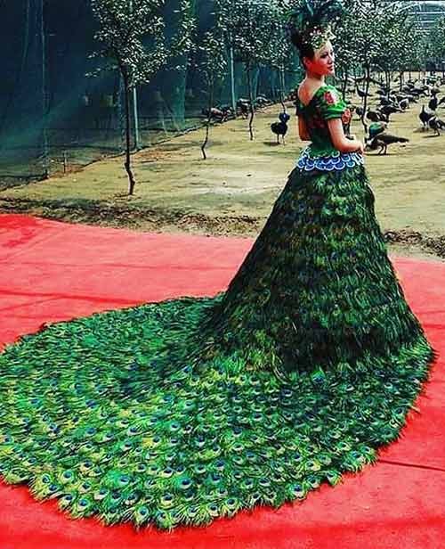 Peacock Wedding Dress