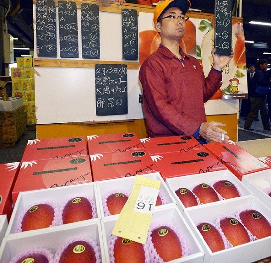 Mangga Taiyo No Tamago