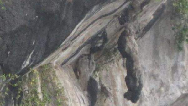 Cerita Rakyat Batu Gantung, Sosok Gadis Cantik Seruni yang Teperangkat Lubang (Foto: Nakarasido)