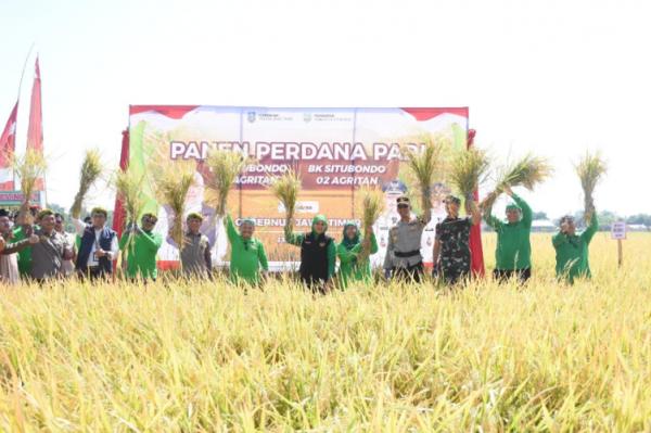 Gubernur Jawa Timur Khofifah Indar Parawansa dan Bupati Situbondo Karna Suswandi menghadiri Panen Perdana Padi BK Situbondo 01 dan 02 Agritan. (Foto: dok Pemkab Situbondo)