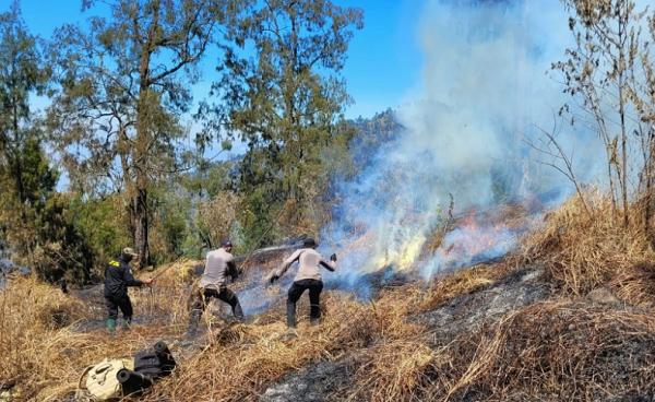 8 Hari Kebakaran Gunung Arjuno Belum Padam, 200 Petugas Masih Bertahan ...