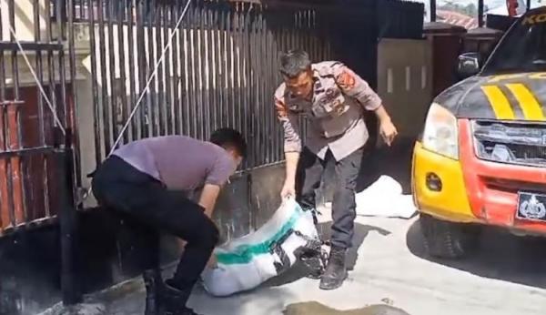 Petugas Polres Sinjai mengevakuasi ular piton 7 meter. (Foto: MPI)