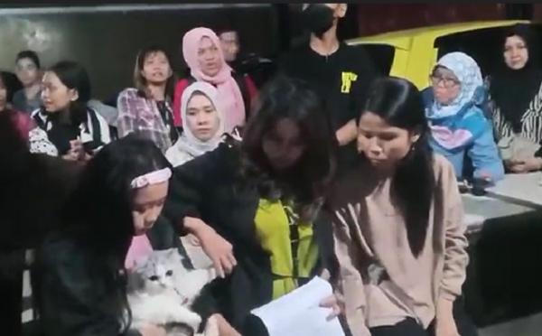 3 Mahasiswi Cekoki Miras ke Kucing Divonis 2 Bulan Penjara, Pencinta Hewan Kecewa